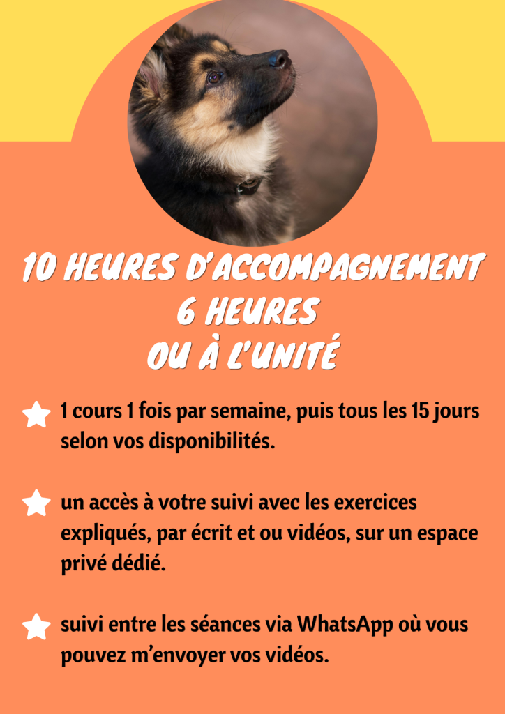 accompagnement cours chiot, maternelle